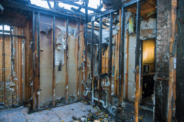 Professional Fire Damage Removal technician working in Stryker, OH